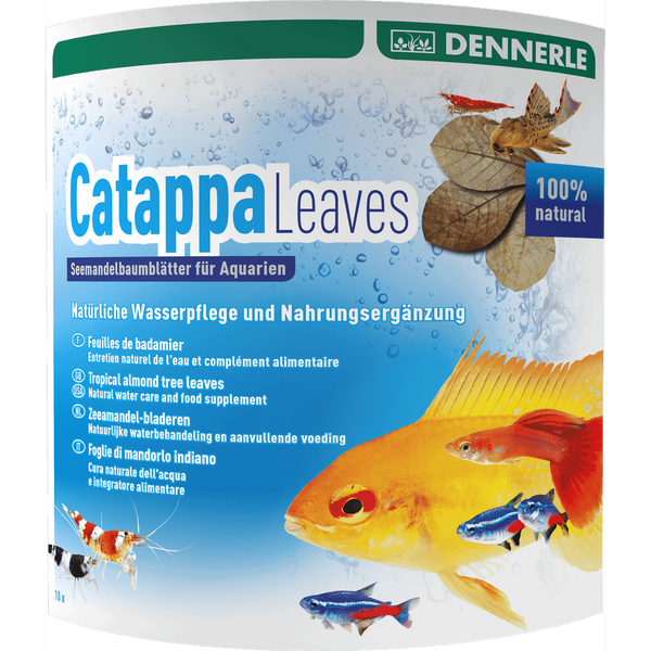 Dennerle Aquarium Water Treatments Frunze de Catappa, Dennerle Catappa Leaves, 10 buc