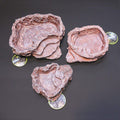 Recipient din rasina pentru hranirea reptilelor, Komodo Terraced Dish Brown (resin) medium