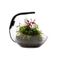 Lampa Led Aqualighter Pico oft 1W Galben