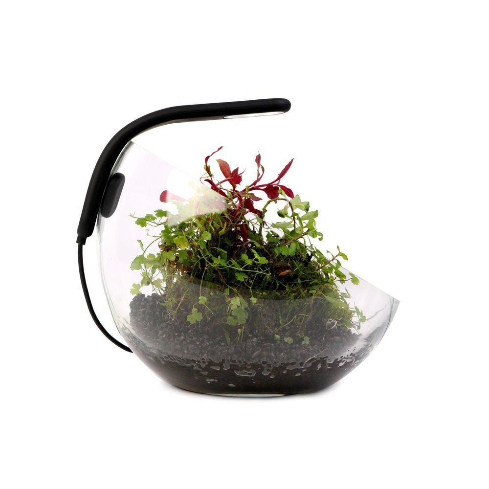Lampa Led Aqualighter Pico oft 1W Galben
