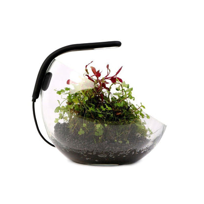 Lampa Led Aqualighter Pico oft 1W Galben