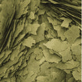 Hrana pentru pe ti ierbivori Tropical 3-Algae Flake  12g