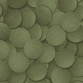 Tropical Pleco'  Tablet  50ml/30g
