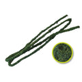 Decor Terariu Komodo Natural Tropical Vine Branch