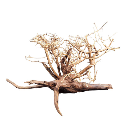 Arbust decorativ pentru acvarii  i terarii, Wio, Arbu tu  Arboretum M, L: 30-50 cm/H: 25-35 cm