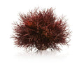 Decor artificial acvariu, Oa e biOrb Aquatic  ea lily, 12 cm