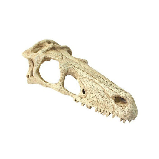 Decor terariu craniu de dinozaur, Komodo Raptor Skull, XL