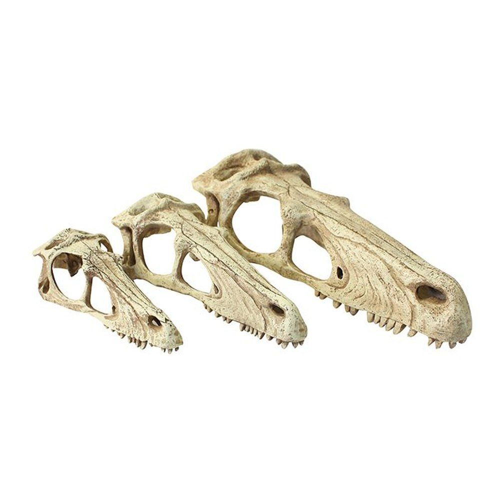 Decor terariu craniu de dinozaur, Komodo Raptor Skull, XL