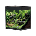Acvariu Oase StyleLine 85, 75 litri negru