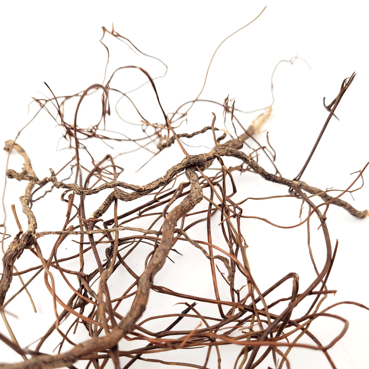 Lemn decorativ acvarii  i terarii, Wio, Mini Root Mix100, 80 g, 10-30 cm