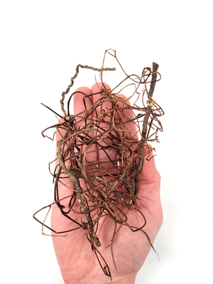 Lemn decorativ acvarii  i terarii, Wio, Mini Root Mix100, 80 g, 10-30 cm