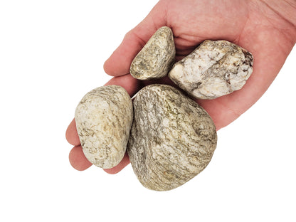 Pietre decor acvarii si terarii, Wio, Elderly Nano Boulder, 2 kg, 1-10 cm