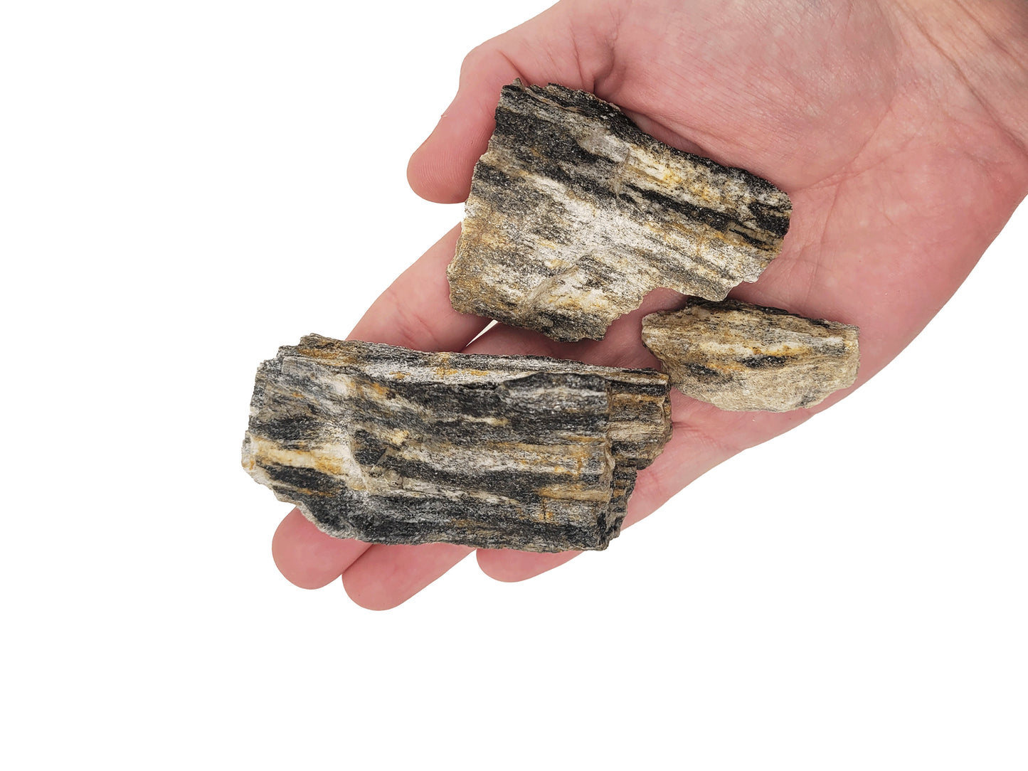 Pietre decor acvarii si terarii, Wio, Grey Fossil Wood Nano Rocks, 2 kg, 3-10 cm