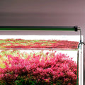 Lampa Acvariu, Chihiros B30 30-50 cm LED light with controller