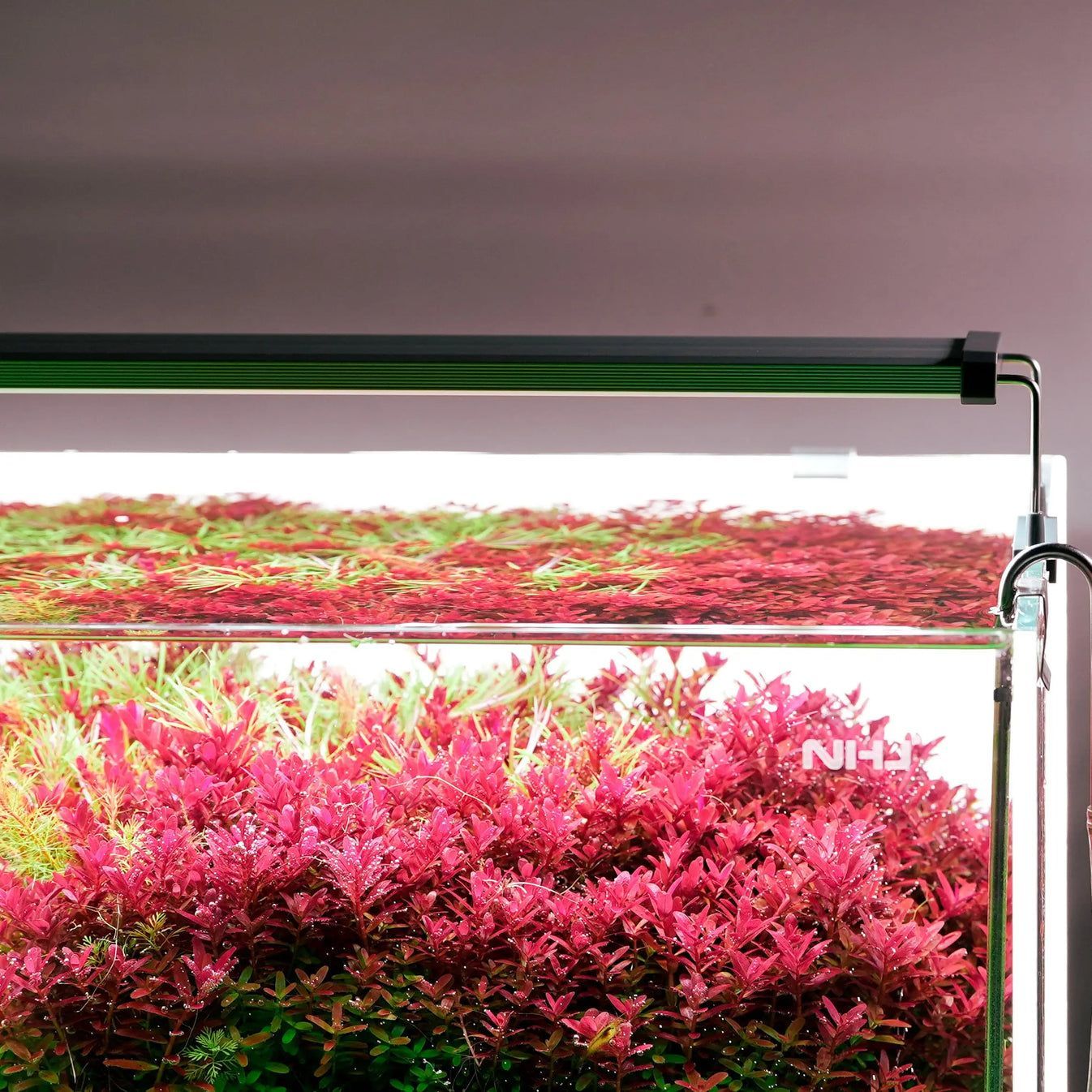 Lampa Acvariu, Chihiros B30 30-50 cm LED light with controller
