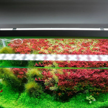 Lampa Acvariu, Chihiros B30 30-50 cm LED light with controller