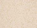 Nisip alb pentru terariu din carbonat de calciu, Komodo CaCo3 Sand, White, 4 kg