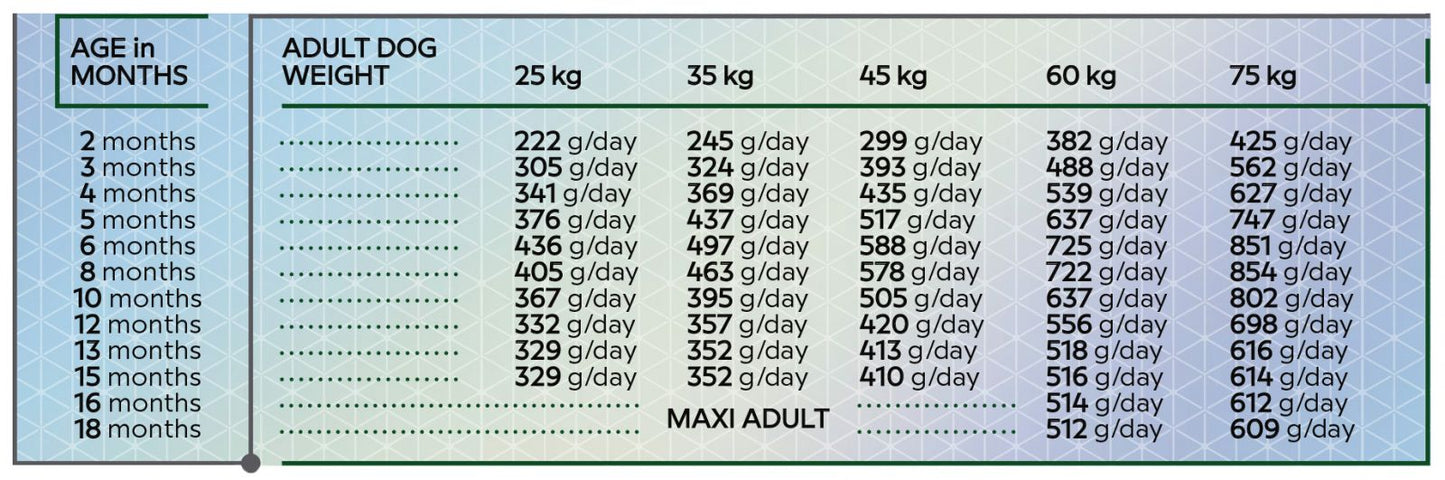  mancare uscata pentru caini junior talie mare HiQ Maxi Junior 2.8kg