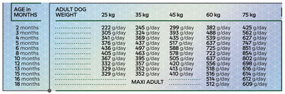  mancare uscata pentru caini junior talie mare HiQ Maxi Junior 2.8kg