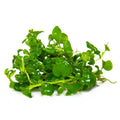 Planta naturala de acvariu, Tropica, Hygrophila serpyllum 1-2-Grow!, 5 cm