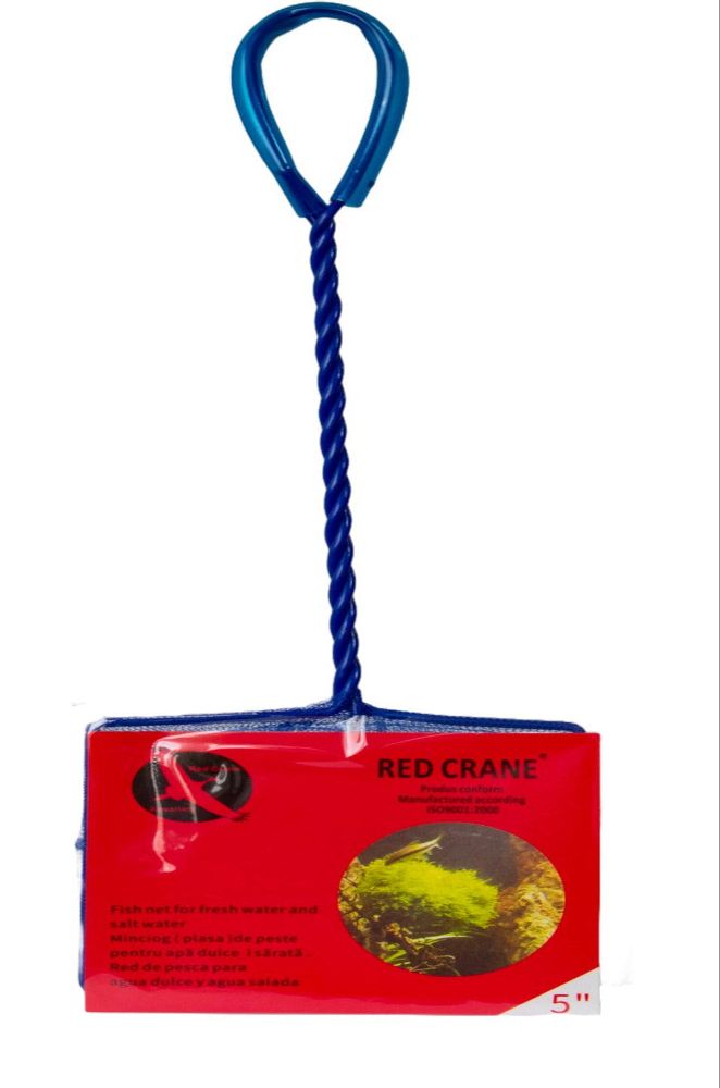 Minciog albastru, 17cm, Red Crane