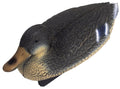 Oase Pond figures Mallard duck female