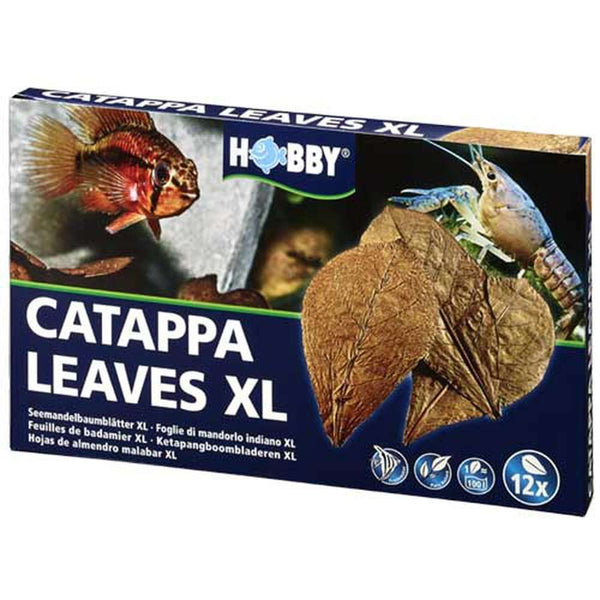 Hobby Frunze de catappa, Hobby Catappa Leaves XL, 12 buc