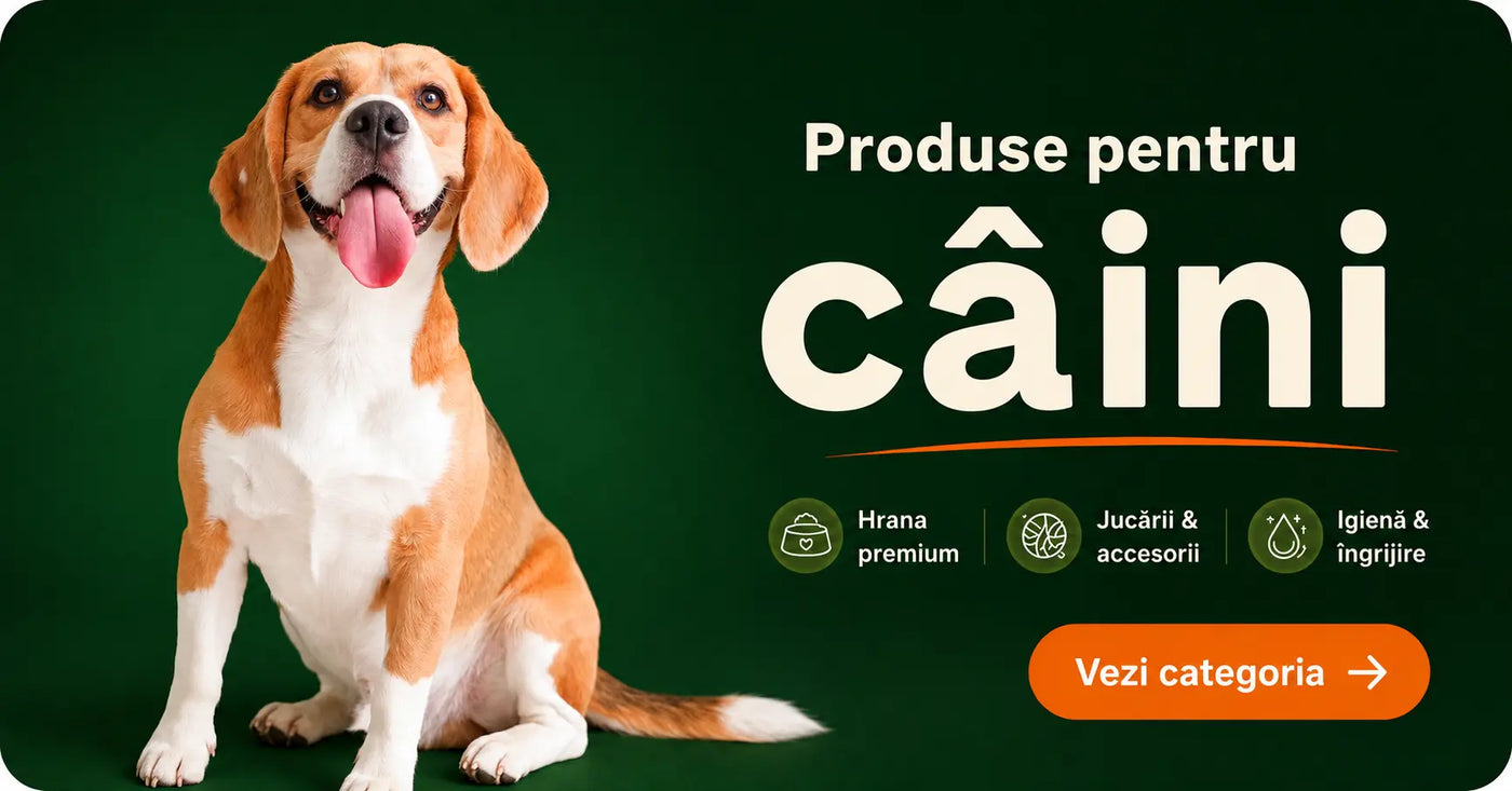 Produse pentru câini: hrană, jucării și accesorii
