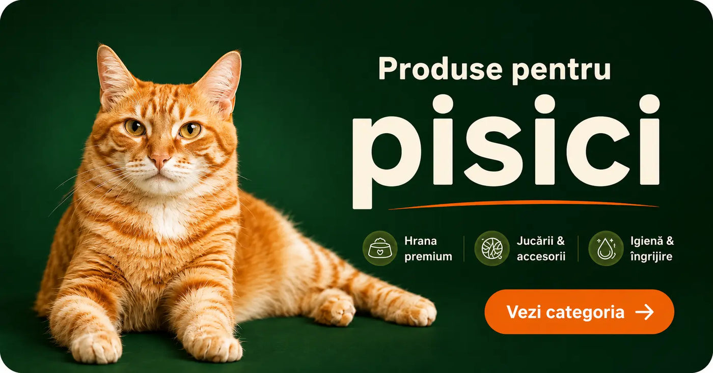 Produse pentru pisici: hrană, jucării și accesorii