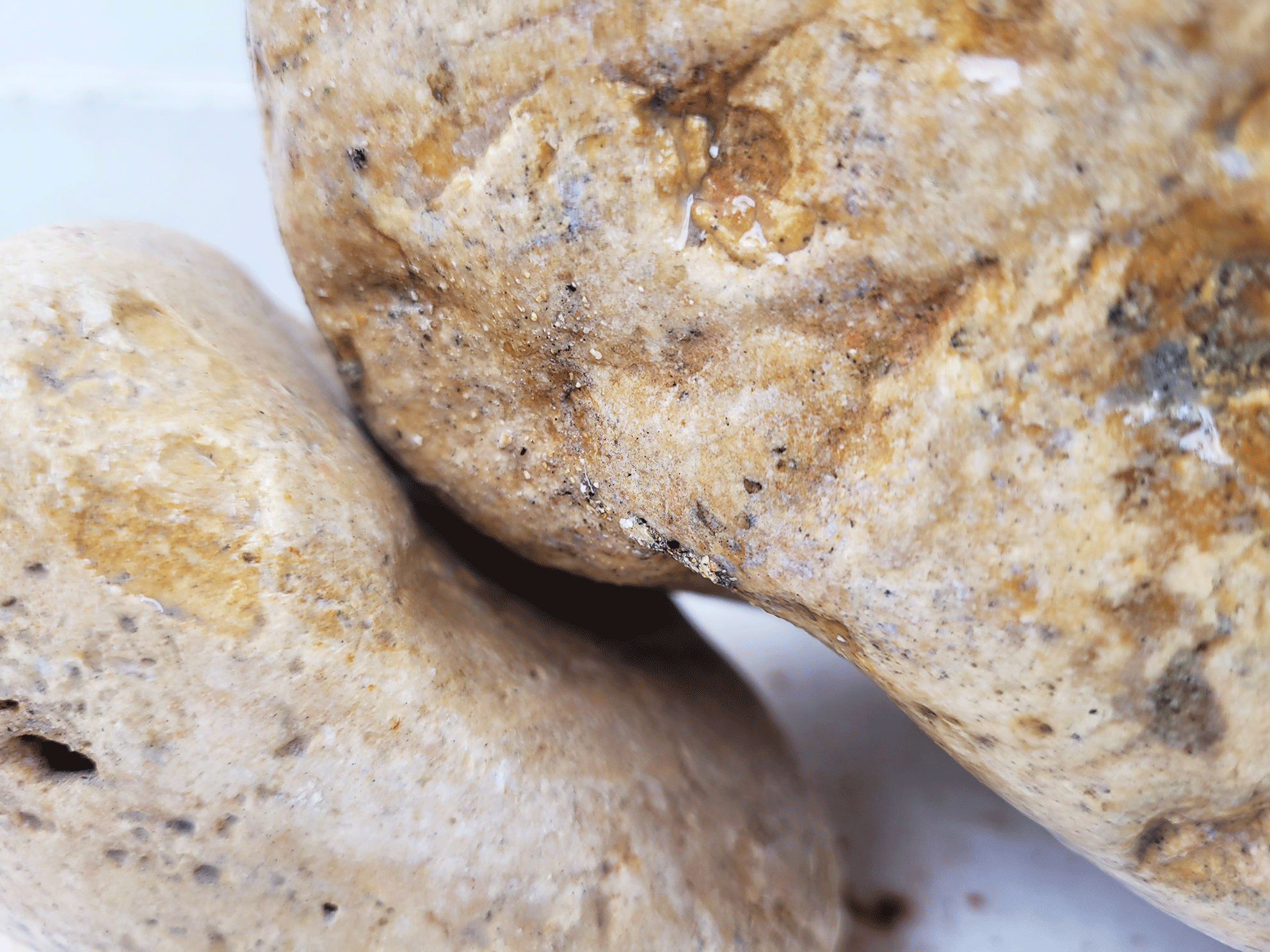 Pietre decor acvarii si terarii, Wio, White Adder Nano Boulder, 2 kg, 1-10 cm