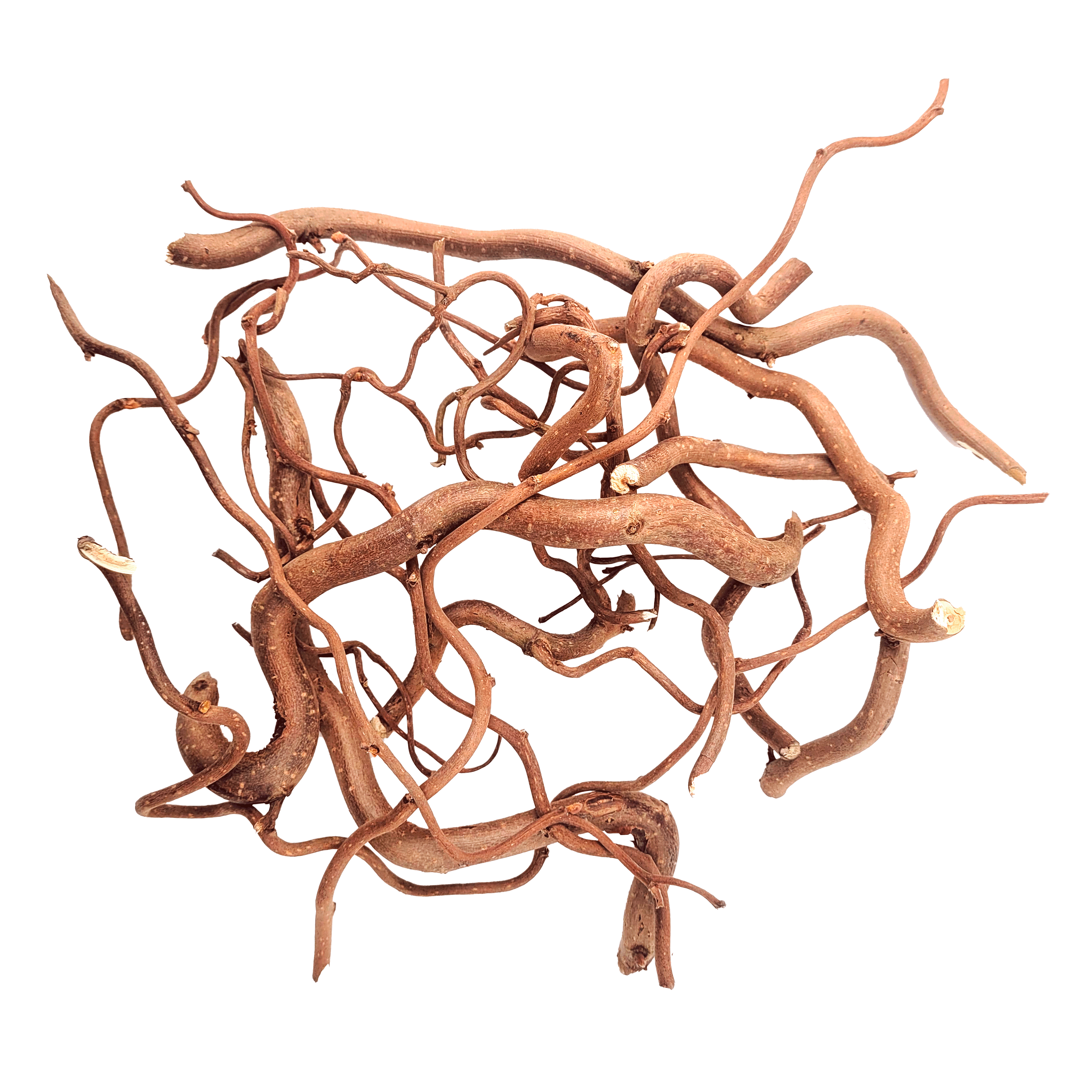 Lemn decorativ acvarii si terarii, Wio, Twisted Root, Mix, 250 g, 10-30cm