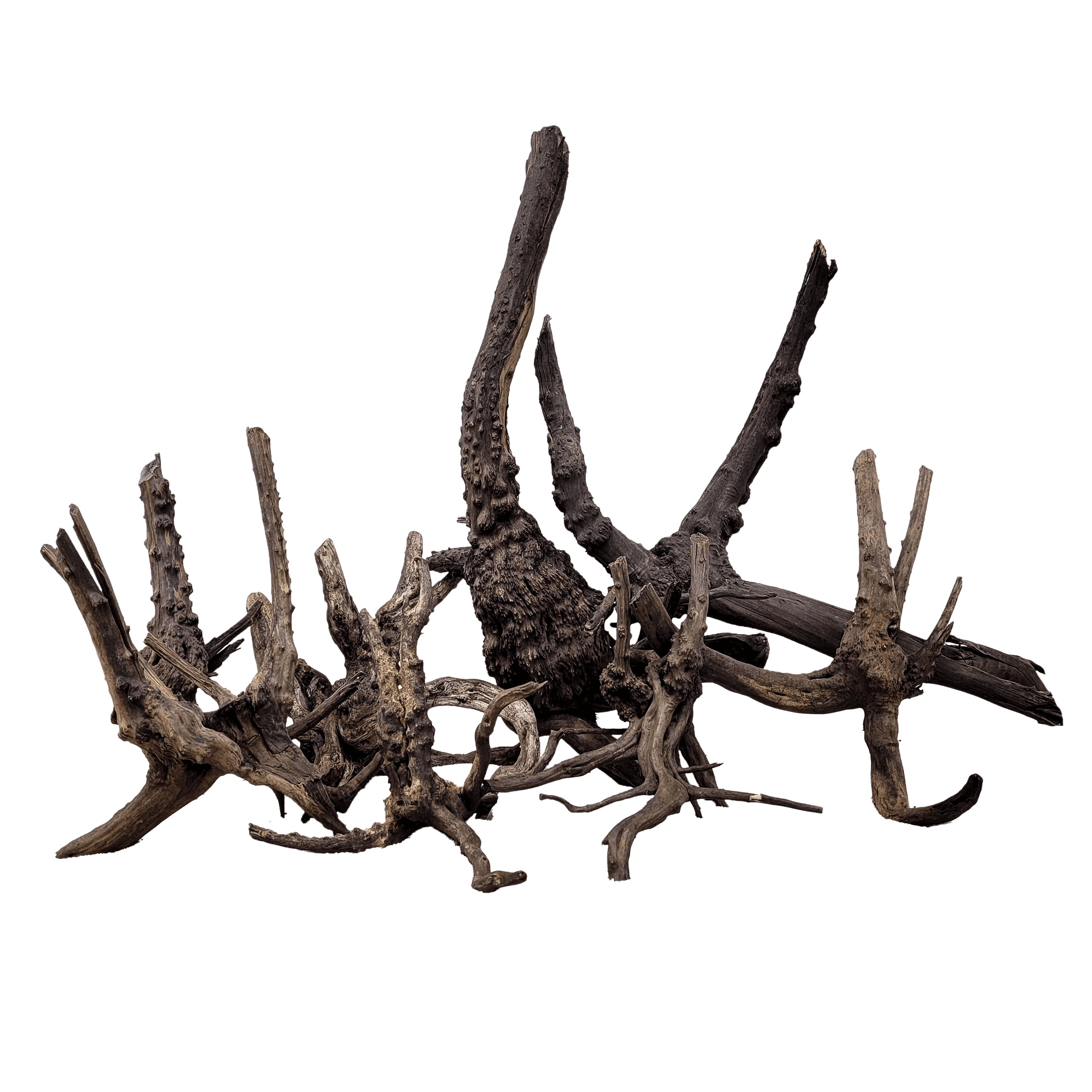 Lemn decorativ sub formă de crengi pentru acvarii, paludarii si terarii, Wio, Black Tree Trunk, M, 25-40 cm