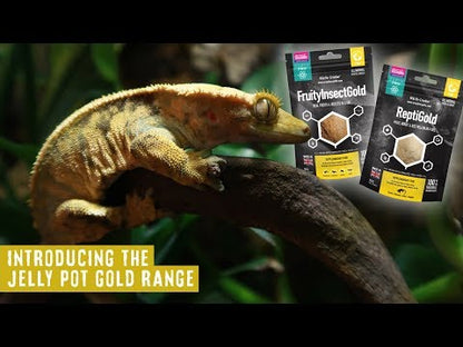 Hrană pentru Reptile Arcadia FruityInsectGold, pungă resigilabilă 50g