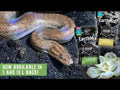 Substrat bioactiv pentru reptile, Arcadia Earth Mix - 10 L