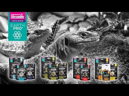 Hrană pentru Reptile Arcadia EarthPro FlowerBoost, 60g