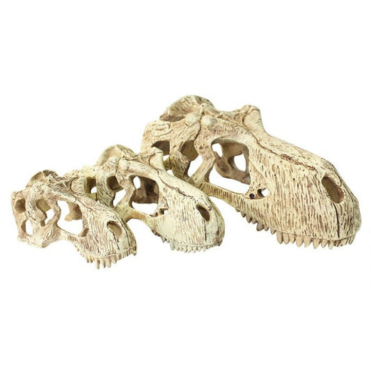 Komodo Animals & Pet Supplies Decor Terariu Komodo T-Rex Skull L