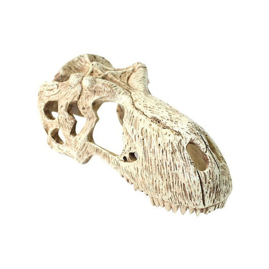 Komodo Animals & Pet Supplies Decor Terariu Komodo T-Rex Skull L